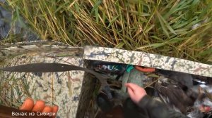 В непогоду попали на чумовой лет северной утки!.mp4