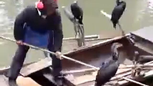 Ловля рыбы смотреть онлайн