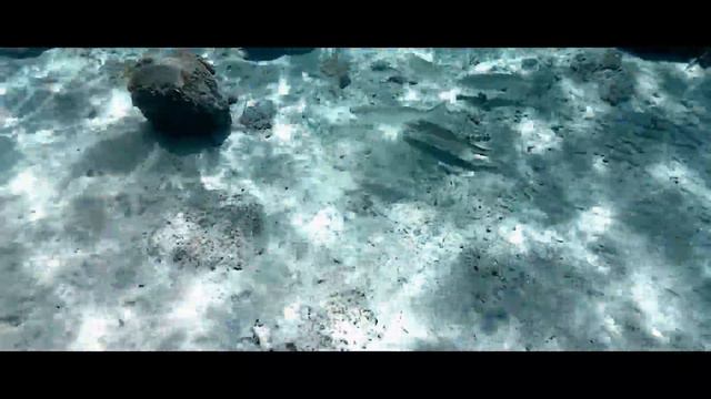 La Fossette sur le sable ou sous l'eau смотреть онлайн