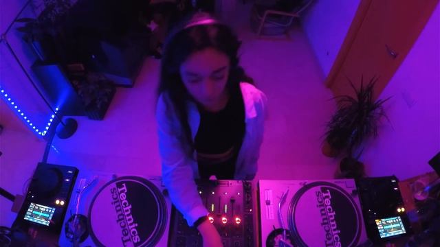 Camelia | Mirador Barcelona