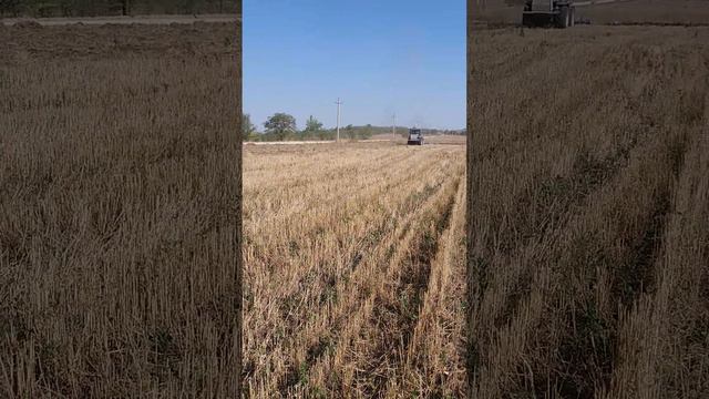 т 150к чизель смотреть онлайн