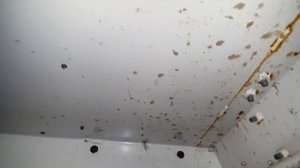 YAMAHA VIKING  540,  основные отличия трёшки от четвёрки !!!