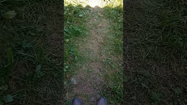 Находки в деревне # 1: ножницы смотреть онлайн