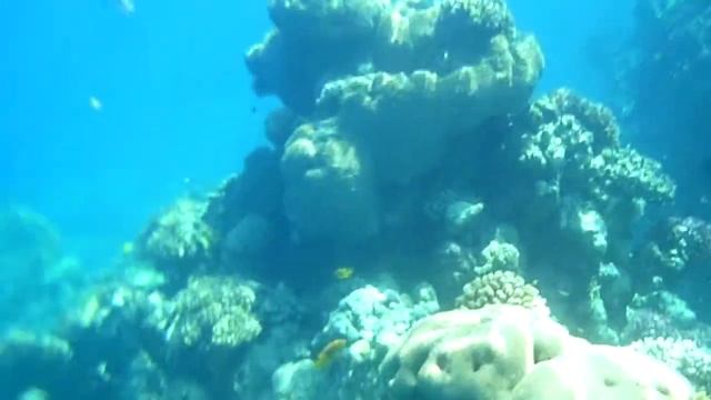 Мини-дайвинг. Часть 3 смотреть онлайн