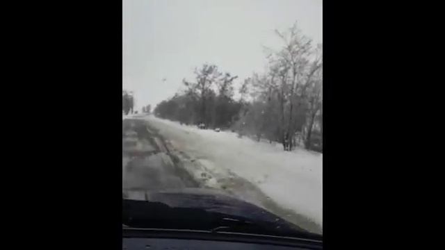 Щенкам алабая 4 дня. Поехали наводить красоту. Купировка ушей и хвостов. смотреть онлайн