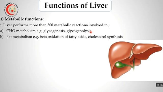 lecture 4 GIT module pancreatic and biliary secretion смотреть онлайн
