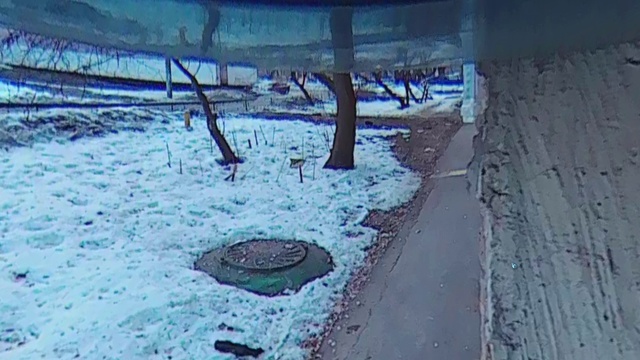 Под окном 2019 фев 13 19 белка живность смотреть онлайн