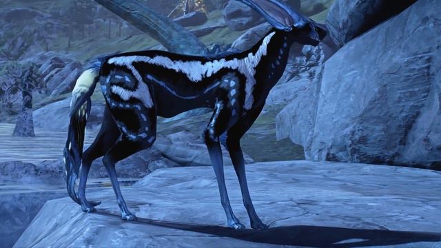 Warframe - Kavats (Todos los tipos) смотреть онлайн