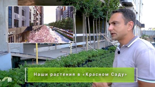 Интервью автора проекта ландшафтного дизайна микрорайона «Таировские Сады» смотреть онлайн