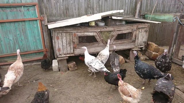 осінні будні смотреть онлайн