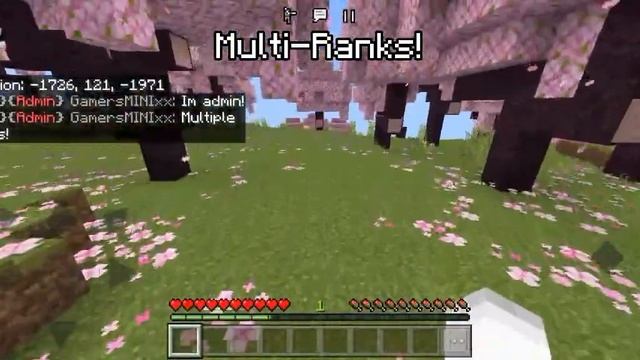 Chat Ranks Addons | Minecraft Bedrock 1.19.80+ смотреть онлайн