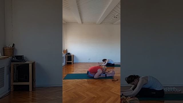Практика YogaFlow System и йога-нидра с Константином Харьковским.