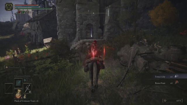Part 29 - HIDDEN Jarbug Village - Elden Ring Mage Guide смотреть онлайн