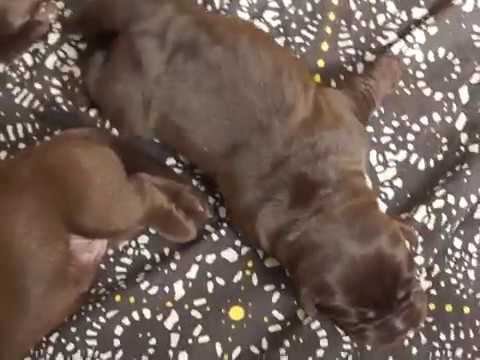 stellafidelis02057 смотреть онлайн
