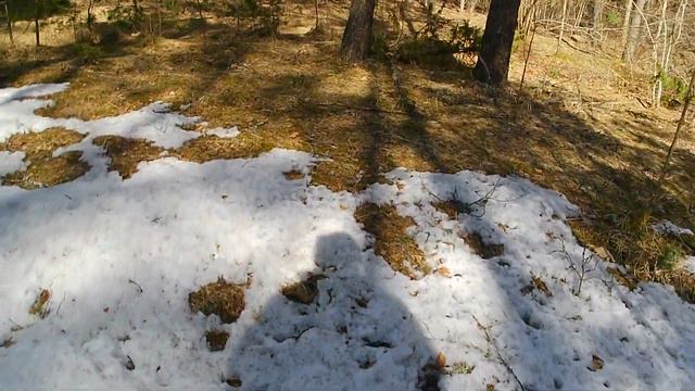 Короткая прогулка по самой близкой дороге к озеру. смотреть онлайн