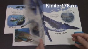 Говорящая энциклопедия для малышей "Про весёлого дельфина и не только" Азбукварик. Видео-обзор