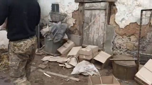 Не слушайте не кого, что не выгодно. Делаю комбикорм телятам. Вес поросят в 1 месяц. Продал поросят смотреть онлайн