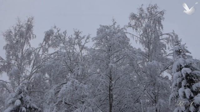 ✨ Для души... Вадим Гурьев - Обними Любимую. Vadim Guryev - Hug Your Sweetheart. смотреть онлайн