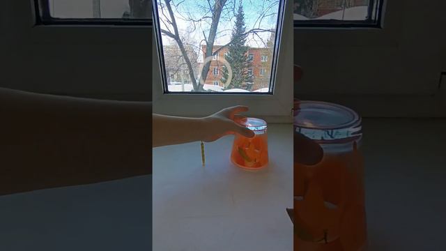 #окружающиймир #3класс #семейноеобразование смотреть онлайн