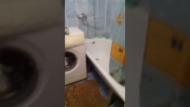 Рум тур по дому на шира смотреть онлайн
