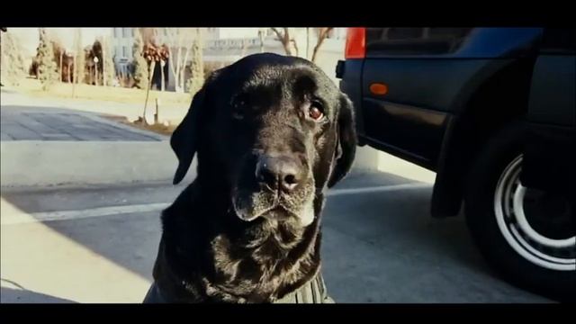 MAXSUS KUCHLAR QANDAY ISHLAYDI? смотреть онлайн