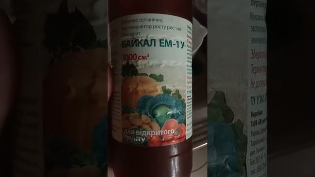 Аут 2019, удобрения(органика, минеральные), бактерии, прищипывание смотреть онлайн