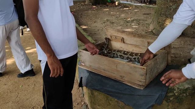 Python смотреть онлайн
