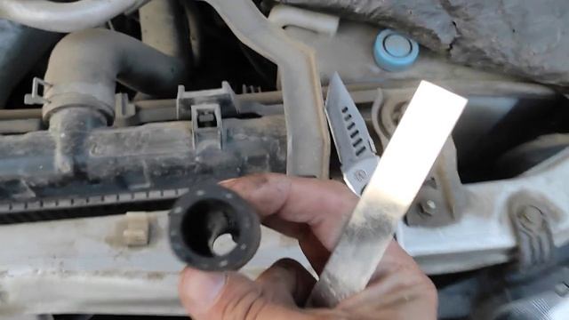 Домовой Доброта