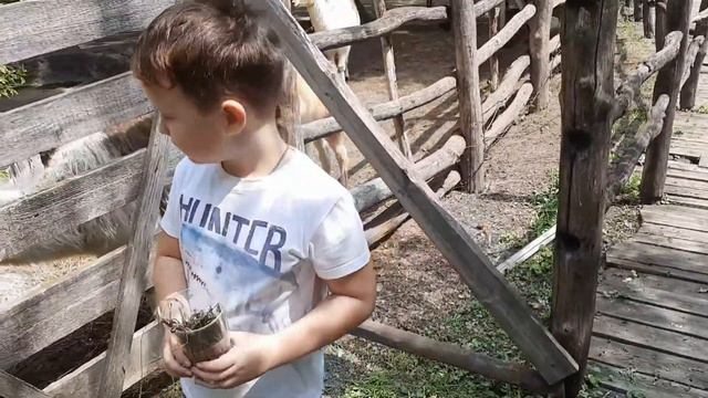 Прогулка по Краснодару. Часть 3, Сафари парк. смотреть онлайн