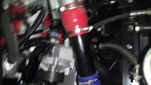 Газель. Двигатель дизельный (Cummins) Каменский, месторасположение маркировки