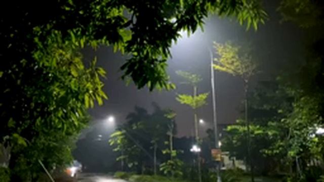 비오는 신비의 공원 안개 짙은 폭우와 함께 불면증을 잊고 편안한 수면, 잠 잘 오는 빗소리 ASMR смотреть онлайн