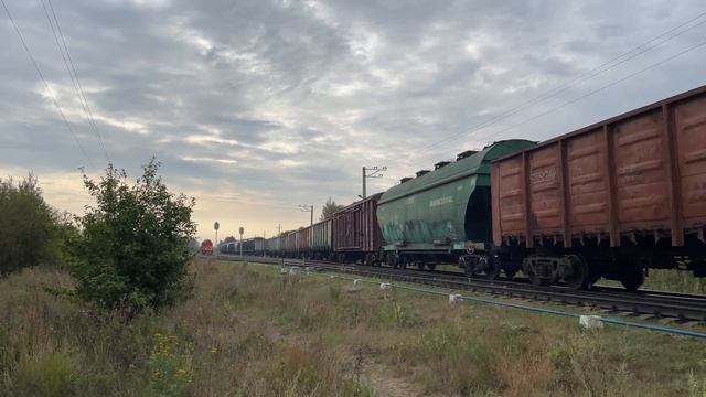 Поезда в туманной Коршуновке. Августовское раннее утро на тепловозной ж/д линии в Моршанске смотреть онлайн