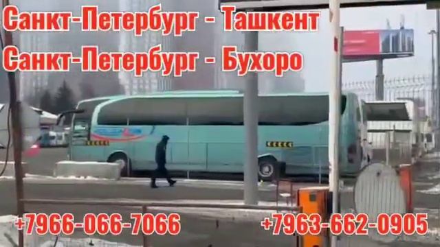Такси Москва Ташкент #мусофирлар #россия #узбекистан #автобус +7968322.0008 смотреть онлайн