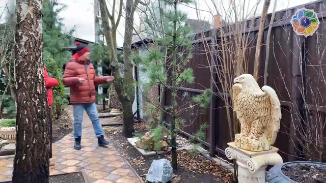 Наш ответ Сакуре! "Путешествие в Чудо-сад на 6 сотках" Часть 4 смотреть онлайн