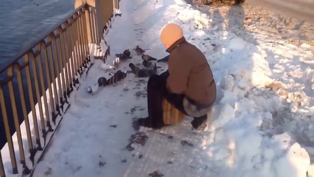 Утка с замершим клювом!!!! смотреть онлайн