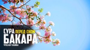 Сура Аль Бакара для защиты вашего дома от джинов и шайтана