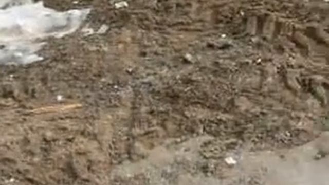 Невозможности дойти до дома (Березовский, Николая Жолобова).