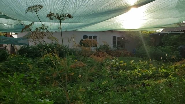 Завершение эпопеи с выращивание червей для рыбалки на улице смотреть онлайн