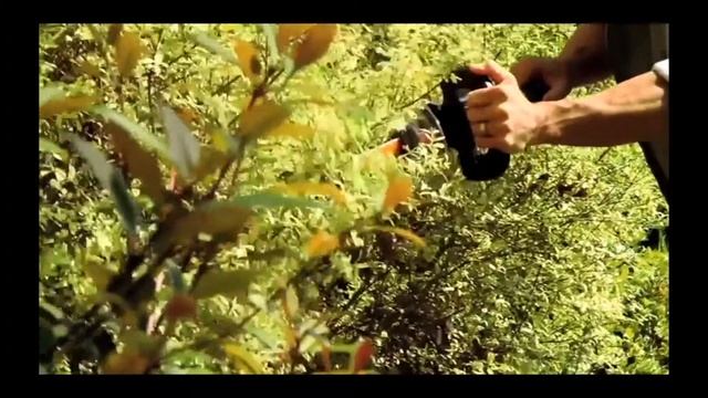 Tosasiepi Worx WG255E a batteria da 20V смотреть онлайн