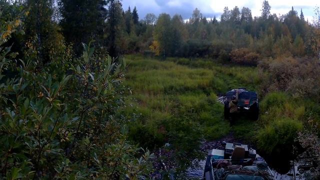 Рысь Кедва 1 смотреть онлайн