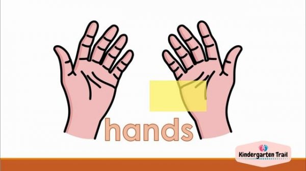 Free PowerPoint - ESL / EFL Vocabulary Learning | Plus Guessing Game | Body Parts