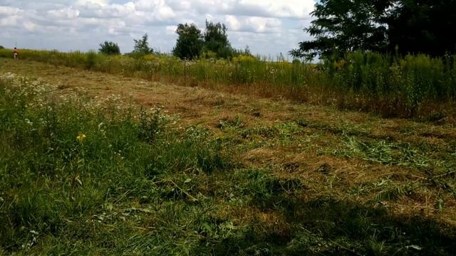 Кошу 20 соток, полное видео от начала до конца с ускорением смотреть онлайн