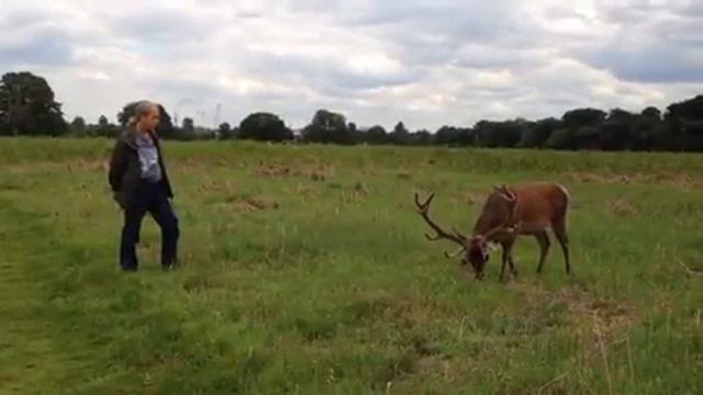 MAN Connects with STAG - Robert Berman смотреть онлайн