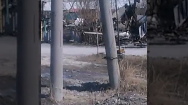 2017 ГОД"ЭКОЛОГИИ". смотреть онлайн