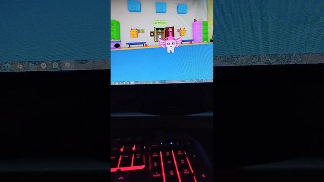 самый милый котики в режиме играйте в кошачьи морфы: спасения смотреть онлайн