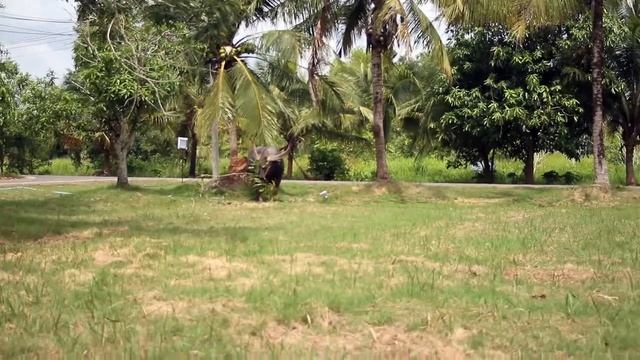 Canon FD 300mm f/4 Lens + Canon FD 1.4x-A Extender Review смотреть онлайн