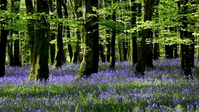 Молитва о возвращении жены к мужу 100%