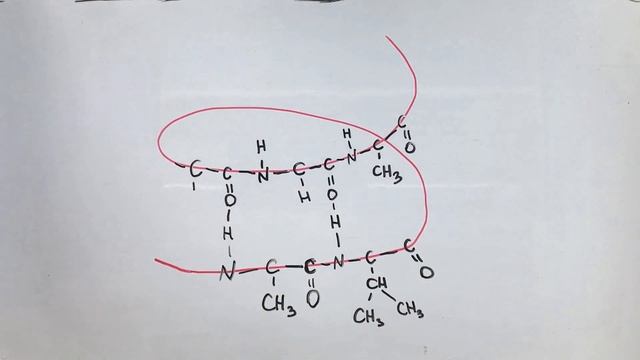 Белки, аминокислоты, уровни организации белковой молекулы смотреть онлайн