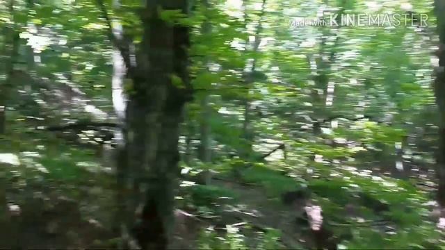 Поездка в Пятигорск. Гора Бештау. Провал. смотреть онлайн