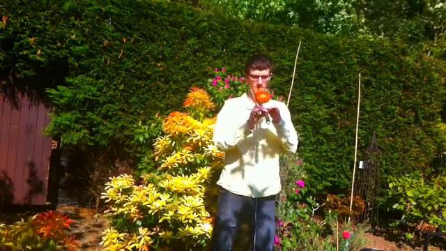 Me Playing Endless Love by The Myth on Hulusi (Chinese Flute) смотреть онлайн